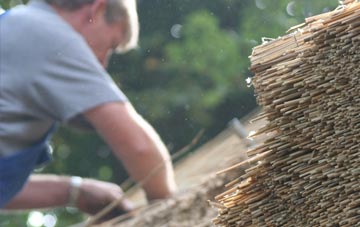 professional Newburn thatchers